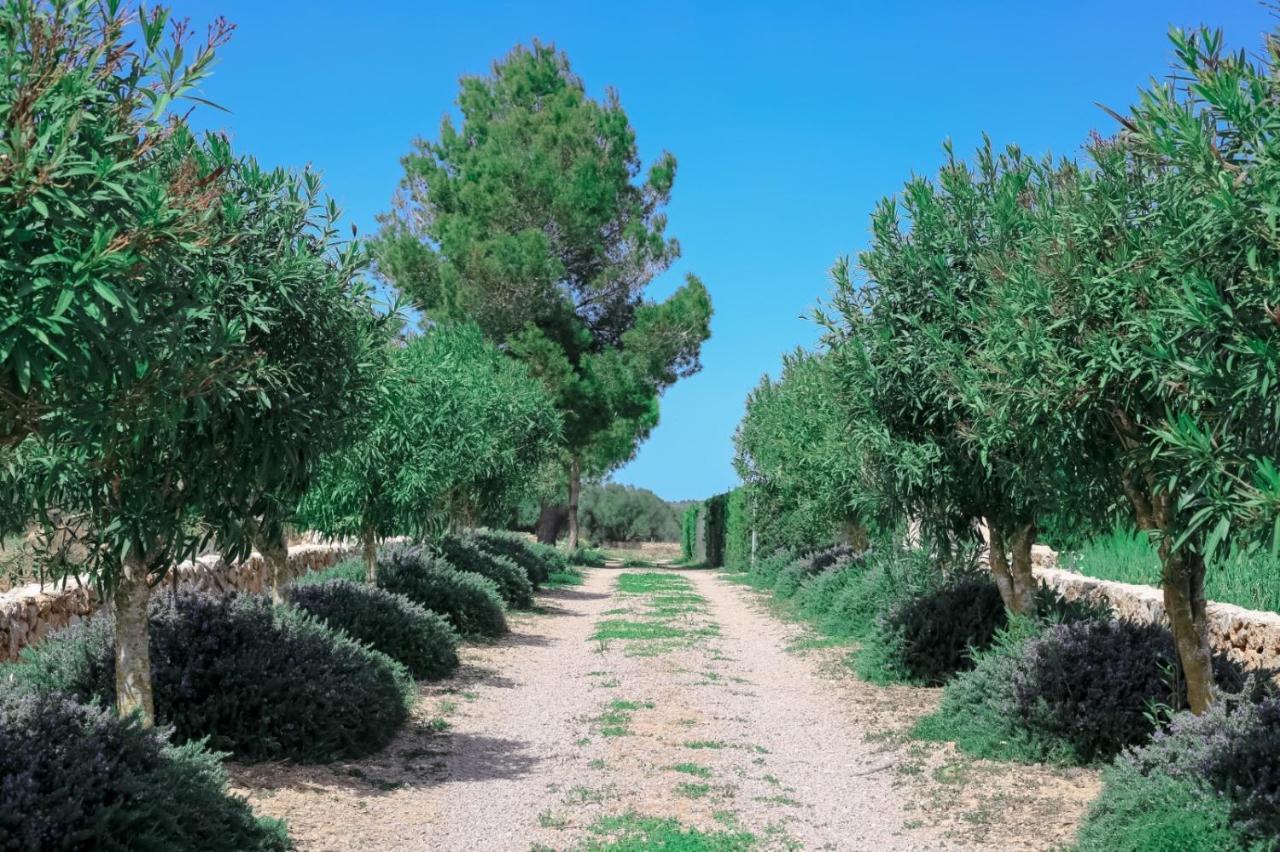 Family House Sa Vinya D'es Trenc Vakantiehuis Campos (Mallorca)